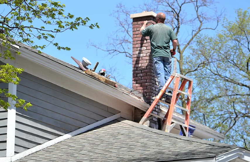 Chimney & Fireplace Inspections Services in Magna, UT